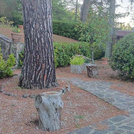Villa Santa Margherita - La Suvera Ponte A Bozzone Buitenkant foto