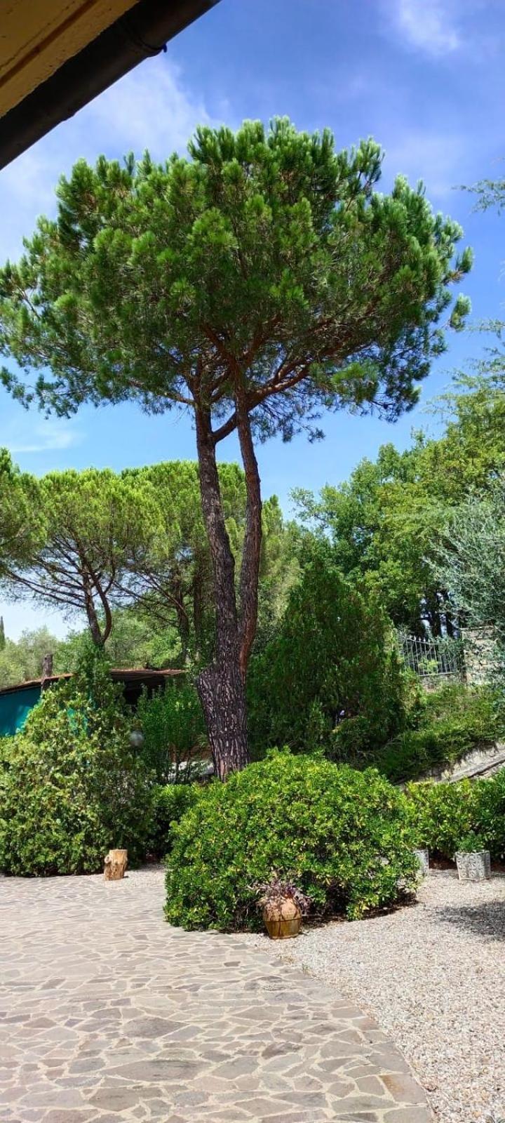 Villa Santa Margherita - La Suvera Ponte A Bozzone Buitenkant foto