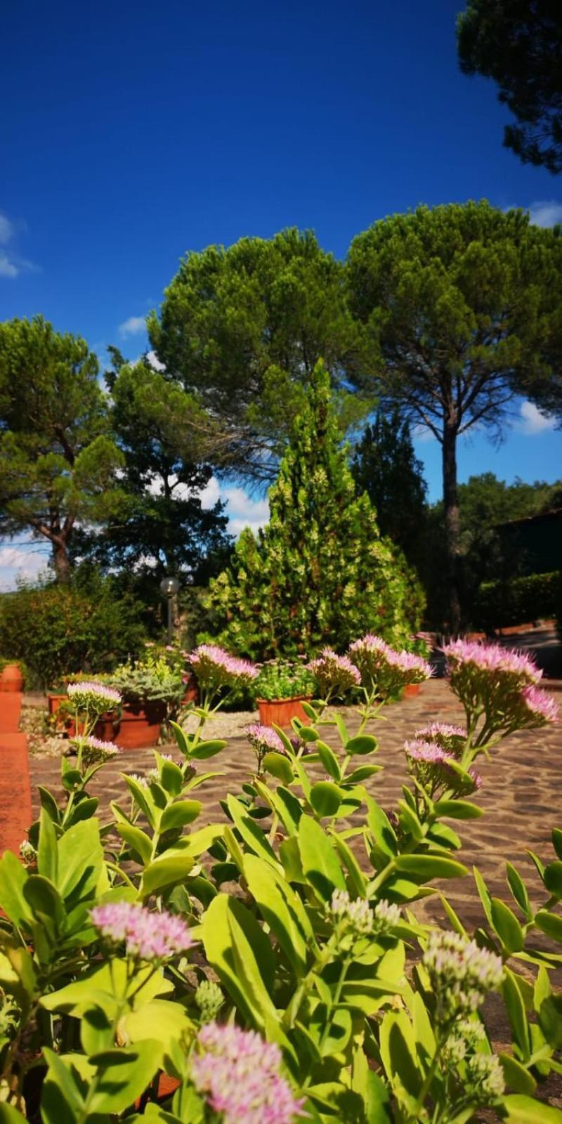 Villa Santa Margherita - La Suvera Ponte A Bozzone Buitenkant foto