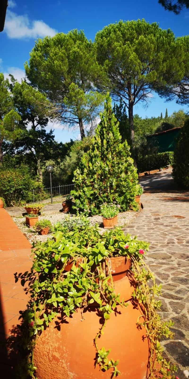 Villa Santa Margherita - La Suvera Ponte A Bozzone Buitenkant foto
