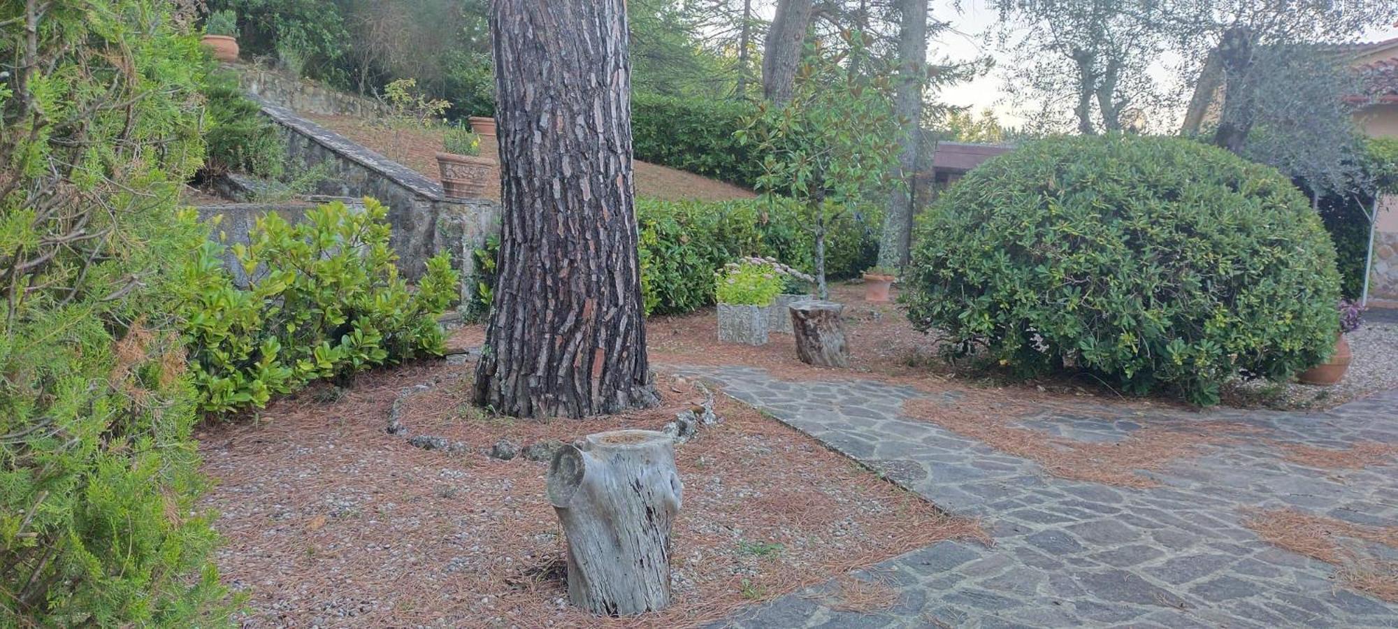 Villa Santa Margherita - La Suvera Ponte A Bozzone Buitenkant foto